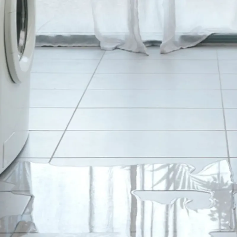 Appliance Leak Cleanup in Des Moines, WA