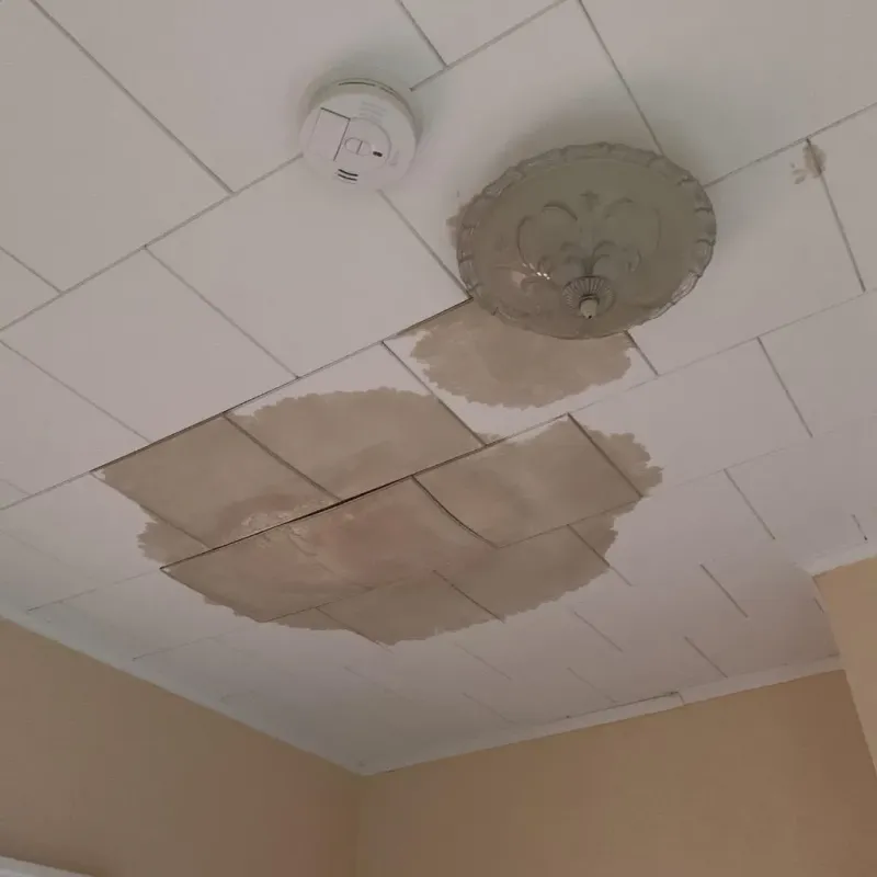 Ceiling Water Damage Repair in Des Moines, WA